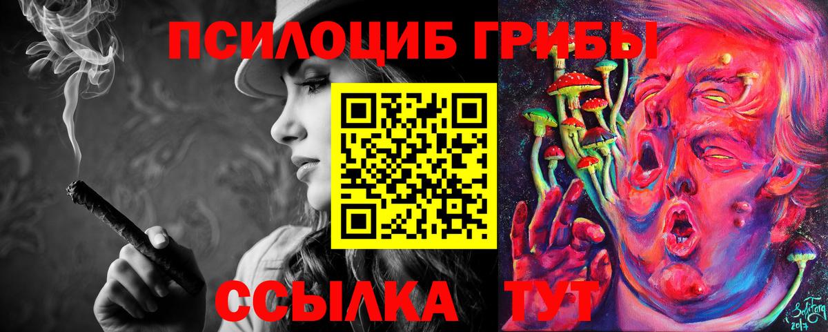 Галлюциногенные грибы GOLDEN TEACHER Егорьевск